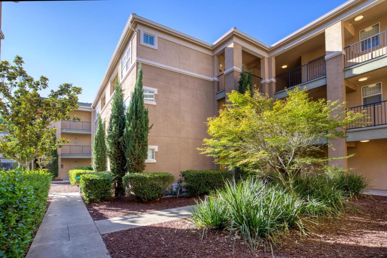 Walnut Creek 1Br W Pool Gym Wd Nr Bart Sfo-1040 Leilighet Pleasant Hill Eksteriør bilde